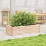 Jardinera de madera maciza de pino 90x40x23 cm en Macetas y jardineras | Comprar online en Foru.es