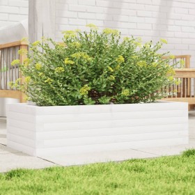 Jardinera de madera maciza de pino blanco 90x40x23 cm en Macetas y jardineras | Comprar online en Foru.es