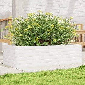 Jardinera de madera maciza de pino blanco 90x40x23 cm en Macetas y jardineras | Comprar online en Foru.es