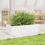 Jardinera de madera maciza de pino blanco 90x40x23 cm en Macetas y jardineras | Comprar online en Foru.es