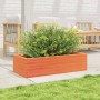 Jardinera de madera maciza pino marrón cera 90x40x23 cm en Macetas y jardineras | Comprar online en Foru.es