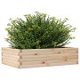 Jardinera de madera maciza de pino 90x60x23 cm en Macetas y jardineras | Comprar online en Foru.es