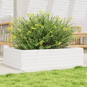 Jardinera de madera maciza de pino blanco 90x60x23 cm en Macetas y jardineras | Comprar online en Foru.es