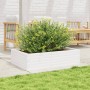 Jardinera de madera maciza de pino blanco 90x60x23 cm en Macetas y jardineras | Comprar online en Foru.es
