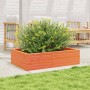 Jardinera madera maciza de pino marrón cera 90x60x23 cm en Macetas y jardineras | Comprar online en Foru.es