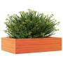 Jardinera madera maciza de pino marrón cera 90x60x23 cm en Macetas y jardineras | Comprar online en Foru.es