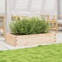 Jardinera de madera maciza de pino 110x60x23 cm en Macetas y jardineras | Comprar online en Foru.es