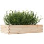 Jardinera de madera maciza de pino 110x60x23 cm en Macetas y jardineras | Comprar online en Foru.es