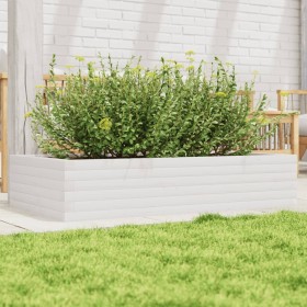 Jardinera de madera maciza de pino blanco 110x60x23 cm en Macetas y jardineras | Comprar online en Foru.es