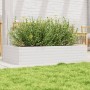 Jardinera de madera maciza de pino blanco 110x60x23 cm en Macetas y jardineras | Comprar online en Foru.es