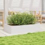 Jardinera de madera maciza de pino blanco 110x60x23 cm en Macetas y jardineras | Comprar online en Foru.es