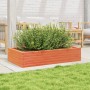 Jardinera madera maciza de pino marrón cera 110x60x23 cm en Macetas y jardineras | Comprar online en Foru.es