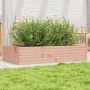 Jardinera madera maciza de abeto Douglas 110x60x23 cm en Macetas y jardineras | Comprar online en Foru.es
