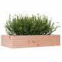 Jardinera madera maciza de abeto Douglas 110x60x23 cm en Macetas y jardineras | Comprar online en Foru.es