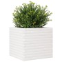 Jardinera madera maciza de pino blanco 50x50x45,5 cm en Macetas y jardineras | Comprar online en Foru.es