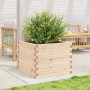 Jardinera de madera maciza de pino 60x60x45,5 cm en Macetas y jardineras | Comprar online en Foru.es