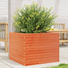 Jardinera de madera maciza de pino marrón cera 60x60x45,5 cm en Macetas y jardineras | Comprar online en Foru.es