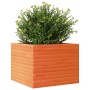 Jardinera de madera maciza de pino marrón cera 60x60x45,5 cm en Macetas y jardineras | Comprar online en Foru.es