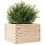Jardinera de madera maciza de pino 70x70x45,5 cm en Macetas y jardineras | Comprar online en Foru.es