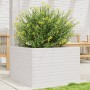 Jardinera madera maciza de pino blanco 70x70x45,5 cm en Macetas y jardineras | Comprar online en Foru.es