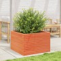 Jardinera madera maciza de pino marrón cera 70x70x45,5 cm en Macetas y jardineras | Comprar online en Foru.es