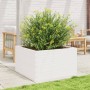 Jardinera madera maciza de pino blanco 80x80x45,5 cm en Macetas y jardineras | Comprar online en Foru.es