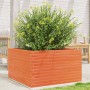 Jardinera de madera maciza de pino marrón cera 80x80x45,5 cm en Macetas y jardineras | Comprar online en Foru.es