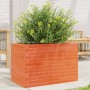 Jardinera de madera maciza de pino marrón cera 70x40x45,5 cm en Macetas y jardineras | Comprar online en Foru.es