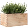 Jardinera de madera maciza de pino 90x60x45,5 cm en Macetas y jardineras | Comprar online en Foru.es