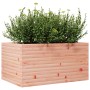 Jardinera madera maciza de abeto Douglas 90x60x45,5 cm en Macetas y jardineras | Comprar online en Foru.es