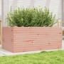 Jardinera madera maciza de abeto Douglas 110x60x45,5 cm en Macetas y jardineras | Comprar online en Foru.es