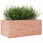 Jardinera madera maciza de abeto Douglas 110x60x45,5 cm en Macetas y jardineras | Comprar online en Foru.es