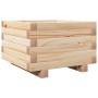 Jardinera de madera maciza de pino 40x40x26,5 cm en Macetas y jardineras | Comprar online en Foru.es
