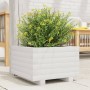 Jardinera de madera maciza de pino blanco 40x40x26,5 cm en Macetas y jardineras | Comprar online en Foru.es