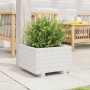 Jardinera de madera maciza de pino blanco 40x40x26,5 cm en Macetas y jardineras | Comprar online en Foru.es