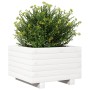 Jardinera de madera maciza de pino blanco 40x40x26,5 cm en Macetas y jardineras | Comprar online en Foru.es