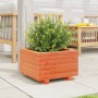 Jardinera madera maciza de pino marrón cera 40x40x26,5 cm en Macetas y jardineras | Comprar online en Foru.es