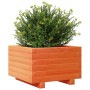 Jardinera madera maciza de pino marrón cera 40x40x26,5 cm en Macetas y jardineras | Comprar online en Foru.es