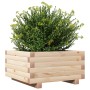 Jardinera de madera maciza de pino 50x50x26,5 cm en Macetas y jardineras | Comprar online en Foru.es