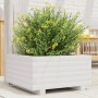 Jardinera de madera maciza de pino blanco 50x50x26,5 cm en Macetas y jardineras | Comprar online en Foru.es