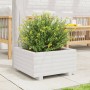 Jardinera de madera maciza de pino blanco 50x50x26,5 cm en Macetas y jardineras | Comprar online en Foru.es