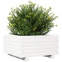 Jardinera de madera maciza de pino blanco 50x50x26,5 cm en Macetas y jardineras | Comprar online en Foru.es