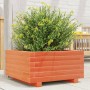 Jardinera madera maciza de pino marrón cera 50x50x26,5 cm en Macetas y jardineras | Comprar online en Foru.es