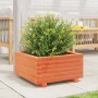 Jardinera madera maciza de pino marrón cera 50x50x26,5 cm en Macetas y jardineras | Comprar online en Foru.es