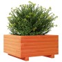 Jardinera madera maciza de pino marrón cera 50x50x26,5 cm en Macetas y jardineras | Comprar online en Foru.es