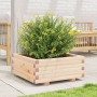 Jardinera de madera maciza de pino 60x60x26,5 cm en Macetas y jardineras | Comprar online en Foru.es
