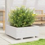 Jardinera de madera maciza de pino blanco 60x60x26,5 cm en Macetas y jardineras | Comprar online en Foru.es