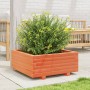 Jardinera de madera maciza de pino marrón cera 60x60x26,5 cm en Macetas y jardineras | Comprar online en Foru.es