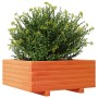 Jardinera de madera maciza de pino marrón cera 60x60x26,5 cm en Macetas y jardineras | Comprar online en Foru.es