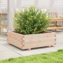 Jardinera de madera maciza de pino 70x70x26,5 cm en Macetas y jardineras | Comprar online en Foru.es